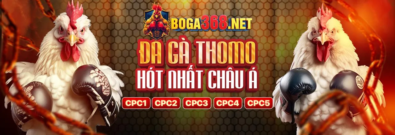 Đá gà trực tuyến tại 123 casino