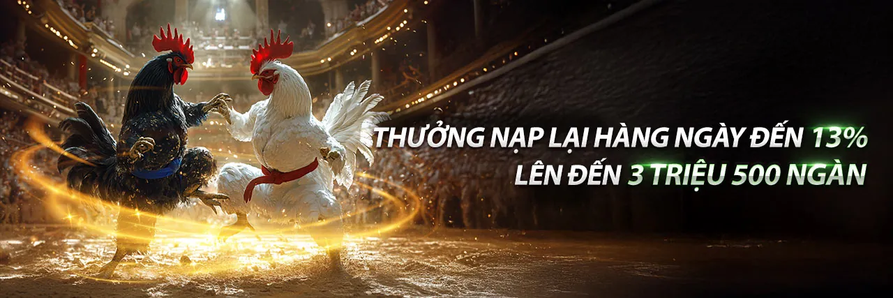 Hình ảnh tổng quan các sảnh thể thao tại 123 casino