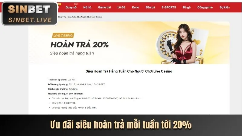 Quy trình tham gia chương trình VIP 123 casino